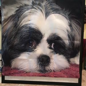 New shih tzu pillow case